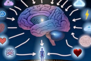 Demasio's Emotional Decision Making